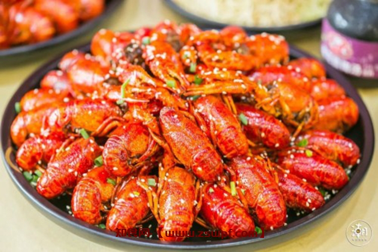 pf304、小龙虾的烹饪做法 技术配方视频教程-知食网