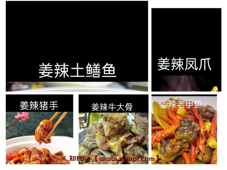 pf380、5款特色姜辣菜品 技术配方视频教程-知食网