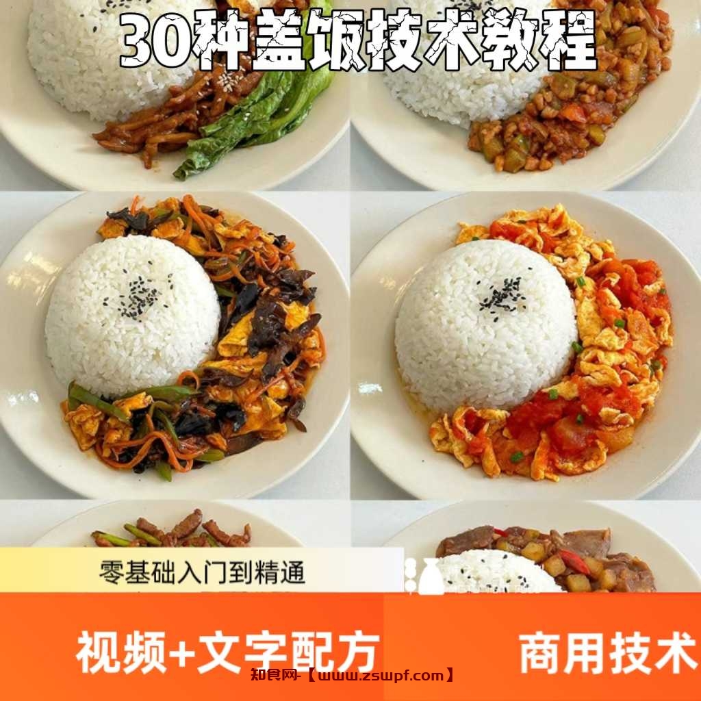 pf442、30种盖饭配方快餐盒饭技术配方教程炒菜外卖盖饭制作视频教学商用-知食网