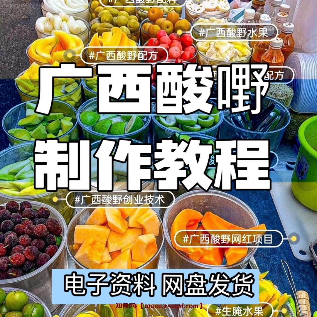 pf425、	网红特色小吃广西酸嘢特产美食技术配方制作视频电子资料课程-知食网