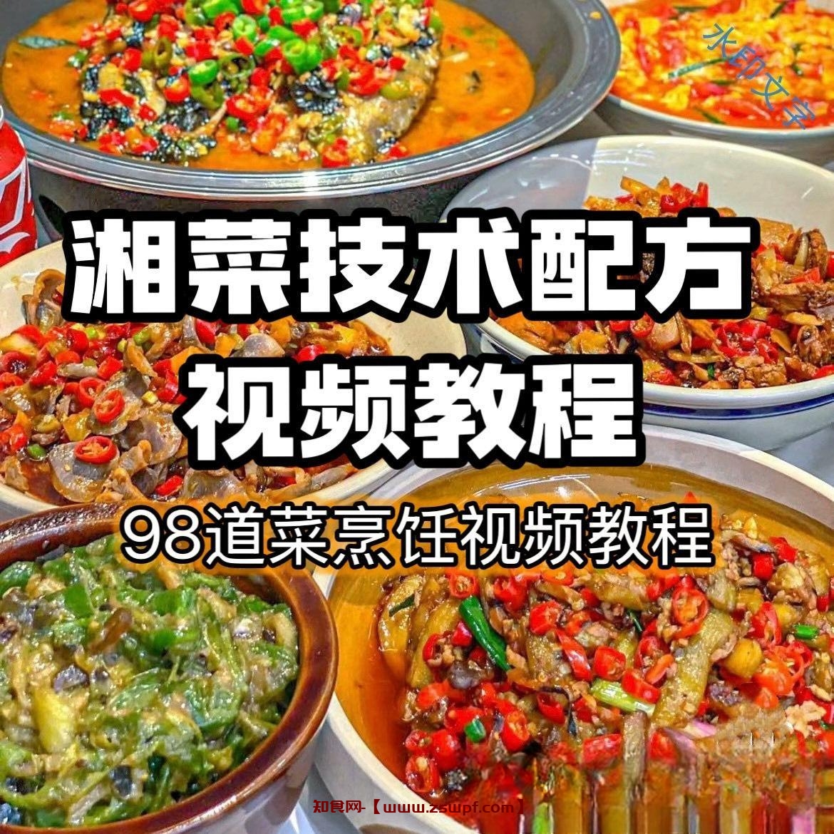 pf418、98道湘菜烹饪制作技术配方视频教程商用湖南菜炒菜特色小吃资料-知食网